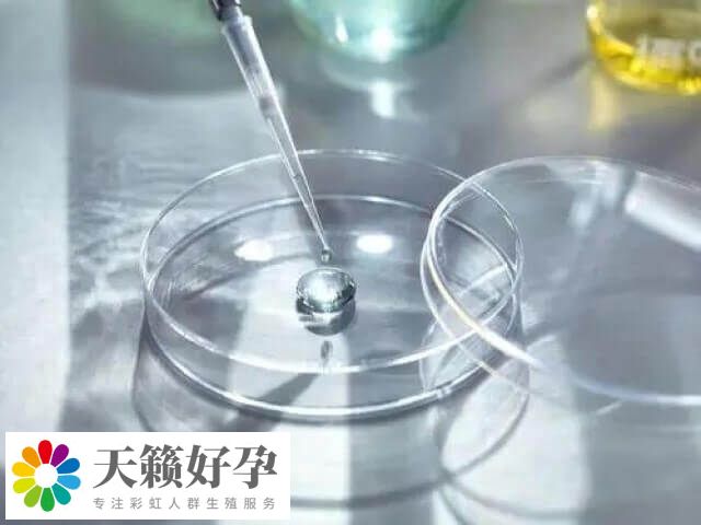 國外進行凍卵收費大概在8-15萬(wan) 元不等