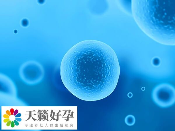 國內助孕機構騙局是什麽