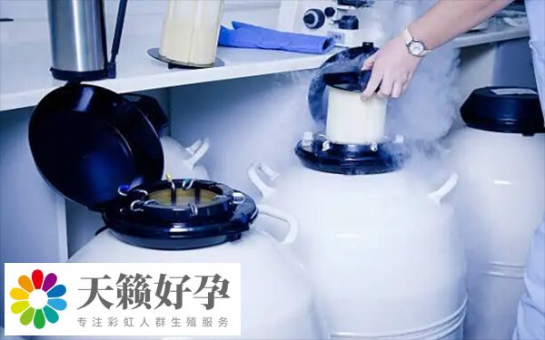 不同國家凍卵的條件有所不同