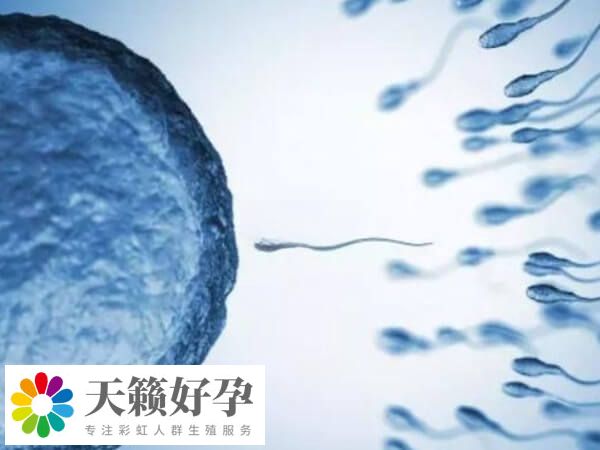 GVT技術在國內(nei) 並未批準應用