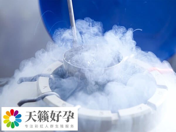 國內冷凍卵子最好的醫院是哪家