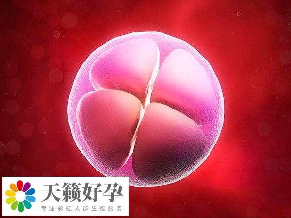 國內les試管機構有哪些