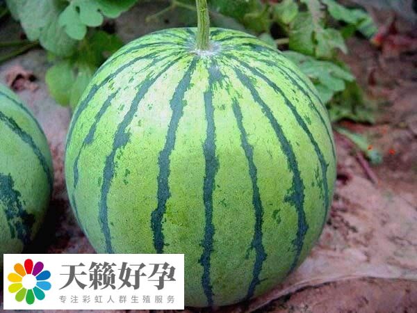 消化不良的寶寶不宜吃西瓜