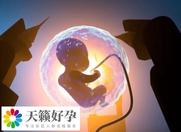 t卵p懷在國內(nei) 不能做