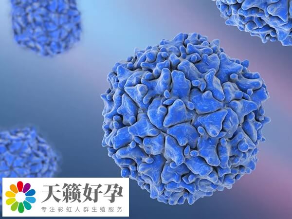 骨髓生育技術目前不存在