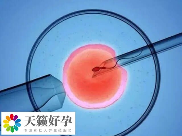 單性別生育的設想不能應用於(yu) 臨(lin) 床