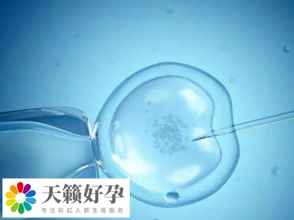 PGT-M主要用於(yu) 檢測胚胎是否存在單基因病