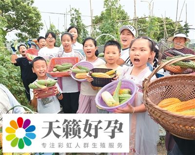 怎樣吃“苦”，讓健康不再“受苦”？