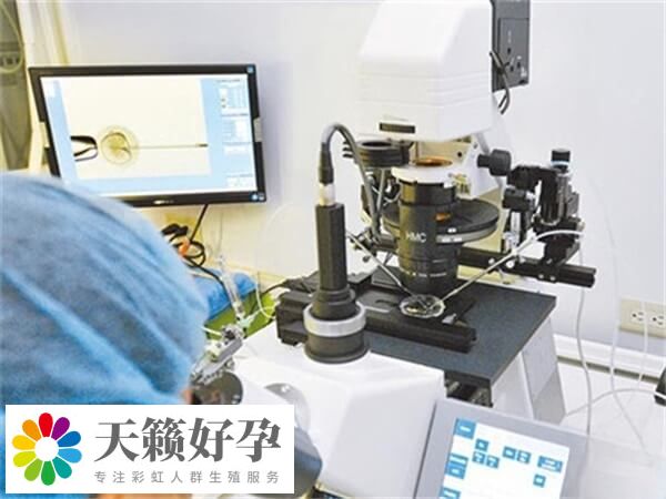 泰國傑特寧醫院成功率多高